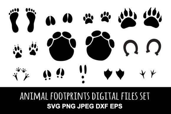 Set of Animal Footprints